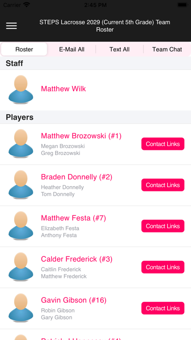 TSIC-Teams Screenshot