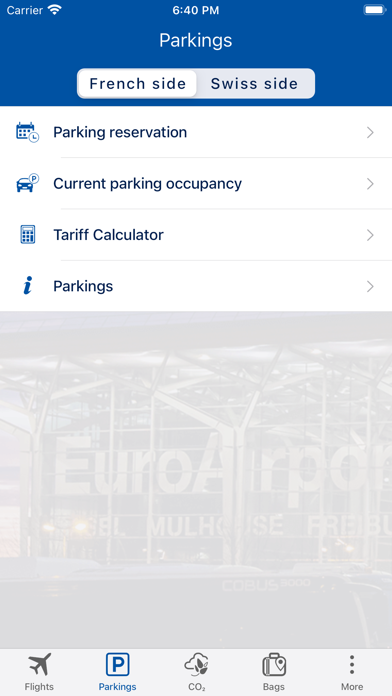 EuroAirport Screenshot
