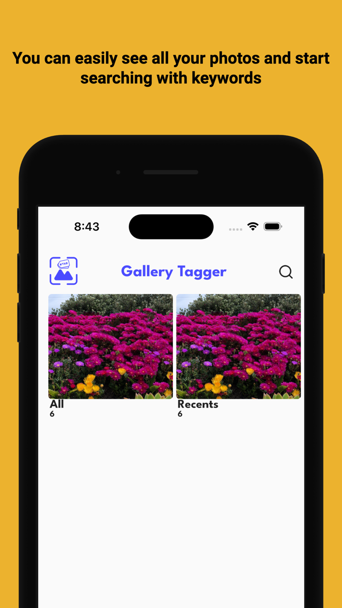 Gallery TaggerFind Easy Photo
