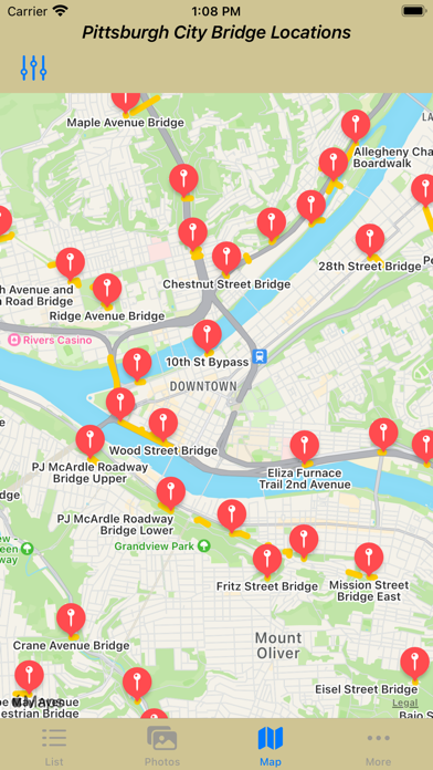 Pittsburgh City Bridges Screenshot