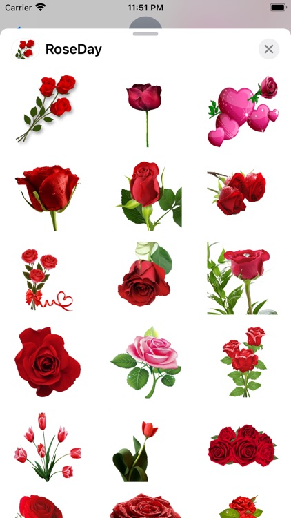 RoseDay Flower of Love Sticker screenshot-5