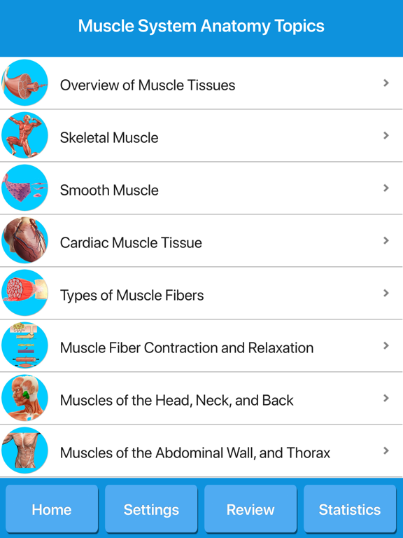 Screenshot #5 pour Muscle System Anatomy