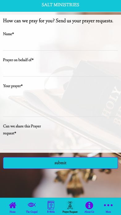 Salt Ministries Screenshot