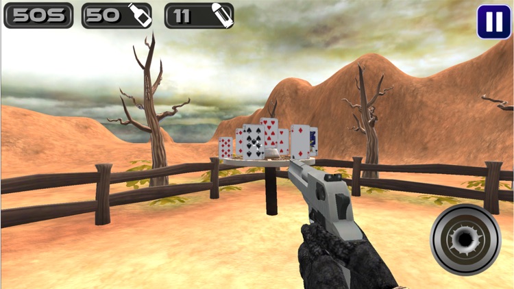 Bottle Shooter Expert 3D screenshot-5