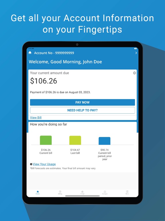Alliant Energy iPad screenshot 2 - Utilities app
