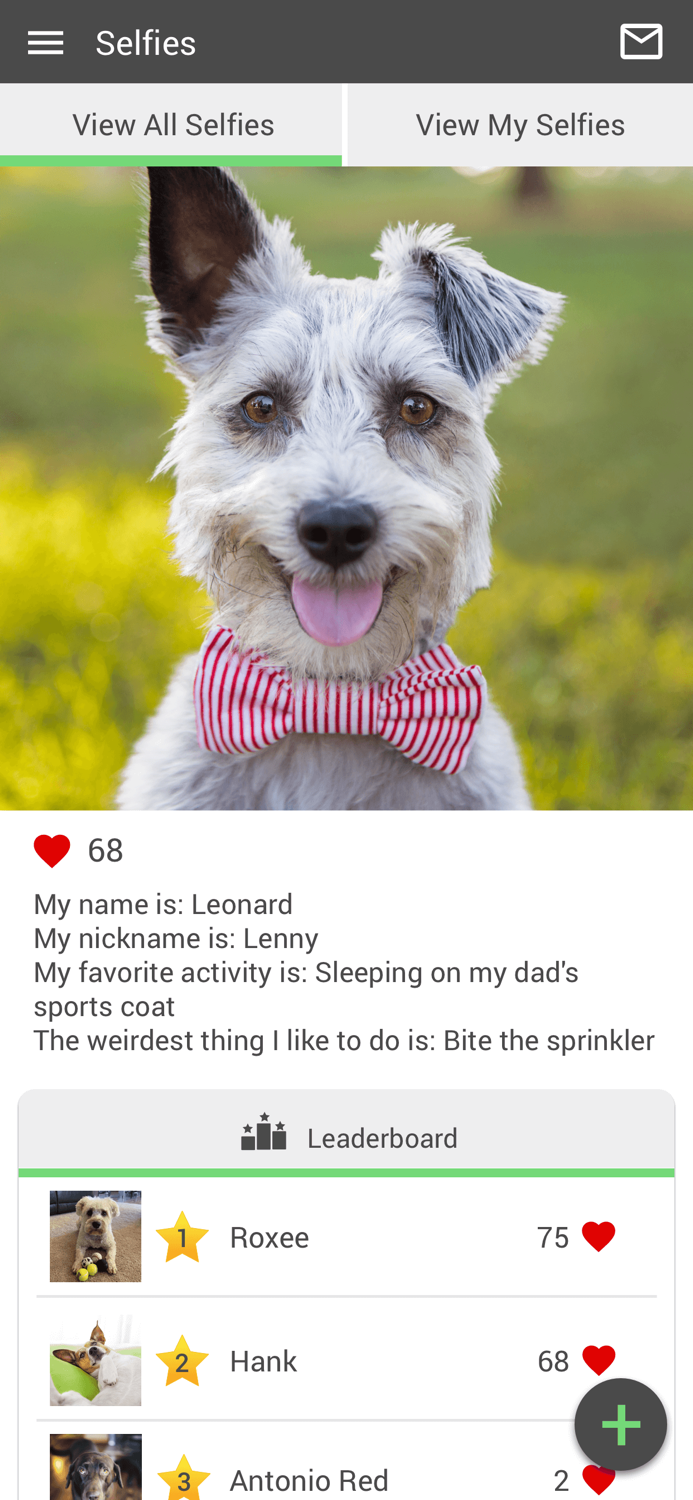 Brookwood Animal Clinic