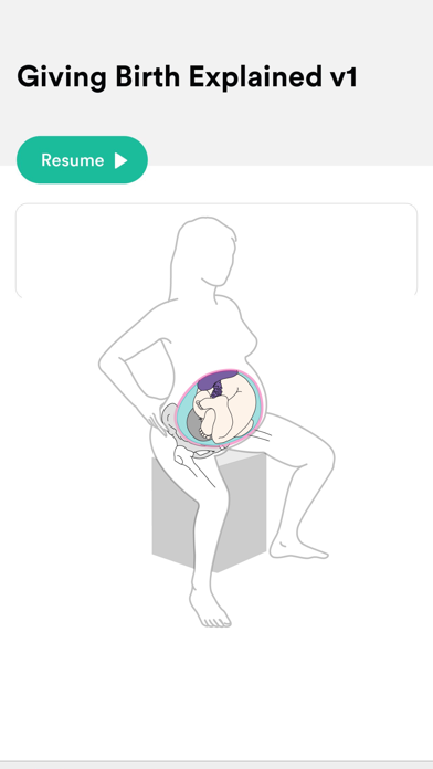 Giving Birth Explained Screenshot