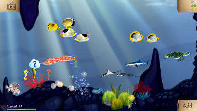 Coral Reef Ocean Screenshot