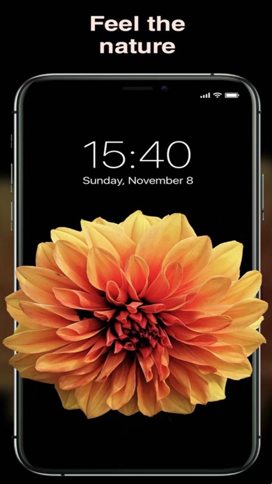 ManyScreen-Wallpapers 4K Screenshot