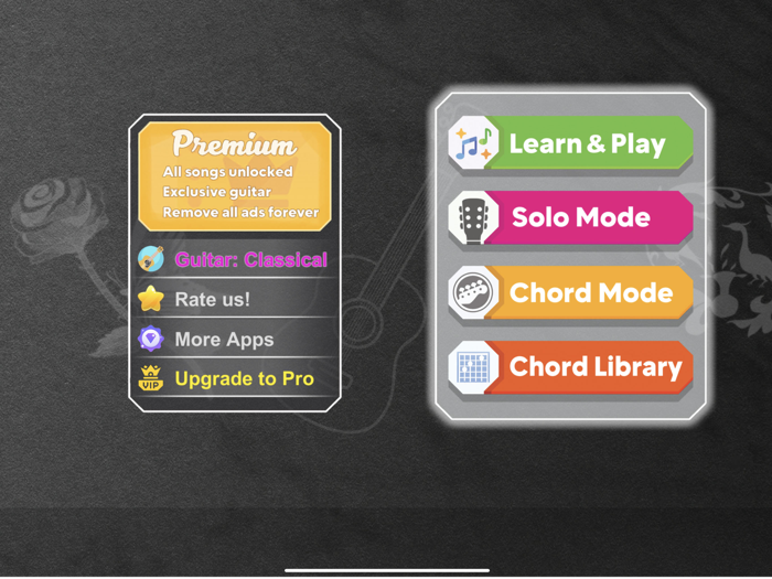 Guitar for real Guitarists