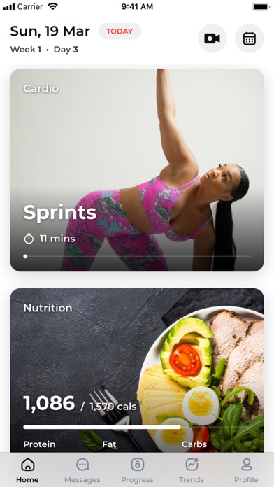 Shred and Tone Screenshot