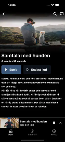 Game screenshot Fredrik Steen PLAY hack