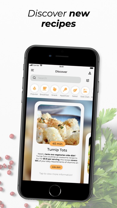 DishDishFun Screenshot