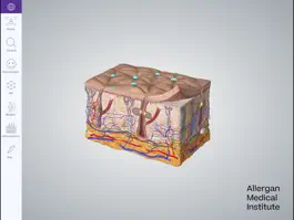 Game screenshot AMI Facial Anatomy for iPads apk