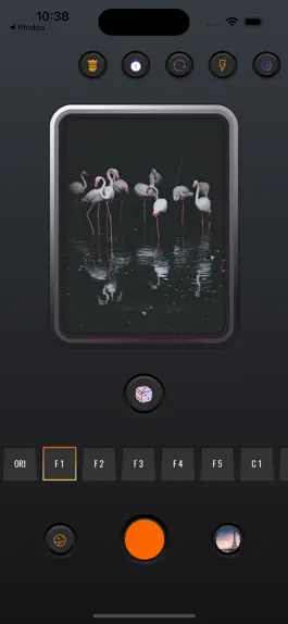 Game screenshot Film Camera - Analog Film Cam mod apk