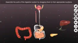 How to cancel & delete 3d human digestive system 1