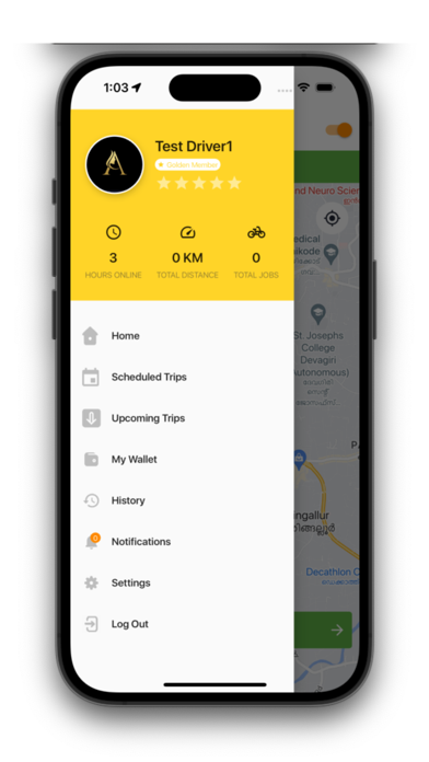 Dizabo Taxi Driver Screenshot