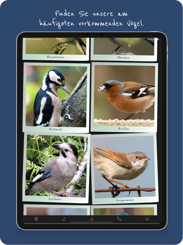 Unsere Vögel