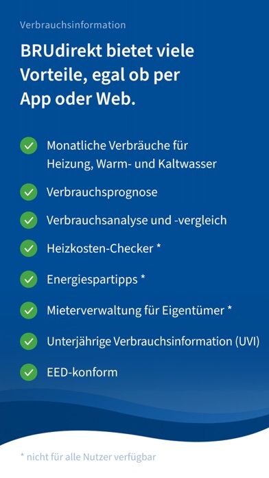 BRUdirekt Energie-Monitoring Screenshot