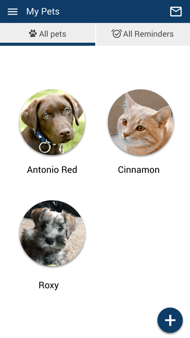 Boulevard Vet Clinic Screenshot