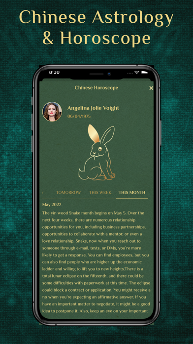 Numerology & Astrology Screenshot