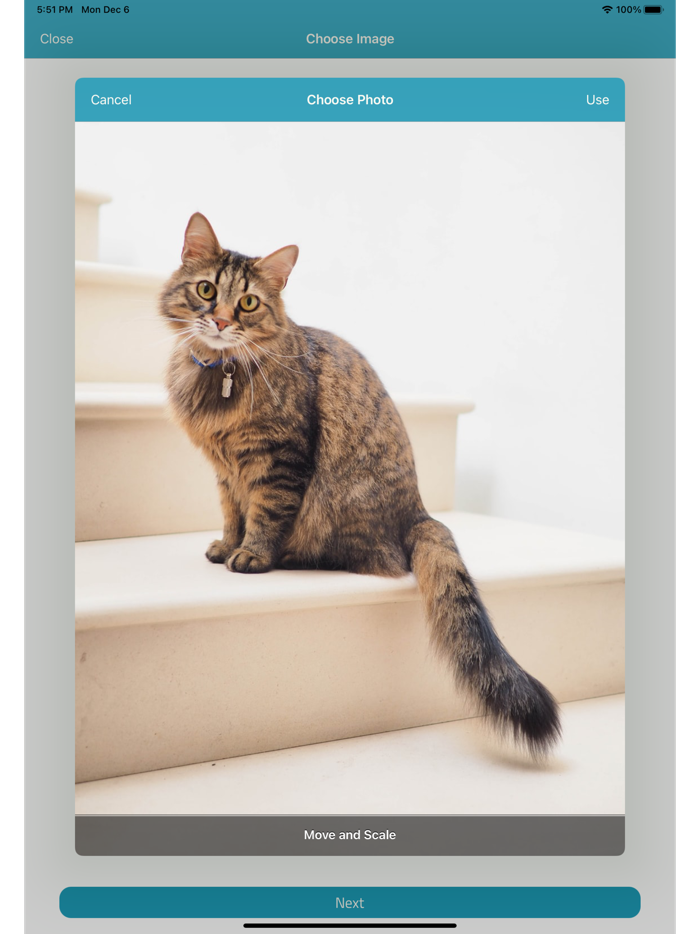 إزالة الخلفية من الصور