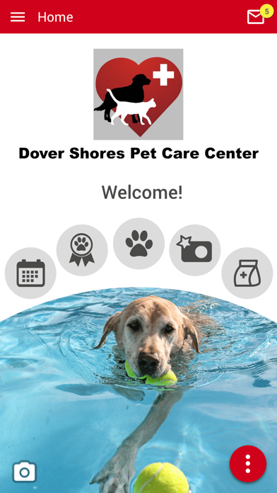 Dr. Bs Pet Club Screenshot