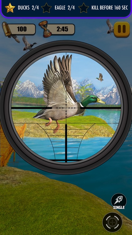 Duck Hunting - Shooting Game