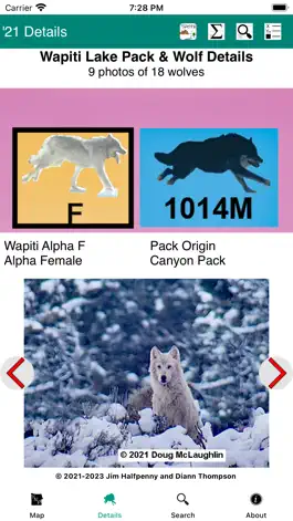 Game screenshot Yellowstone Wolves 2021 apk