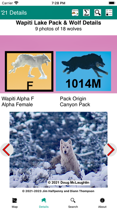 Yellowstone Wolves 2021 Screenshot