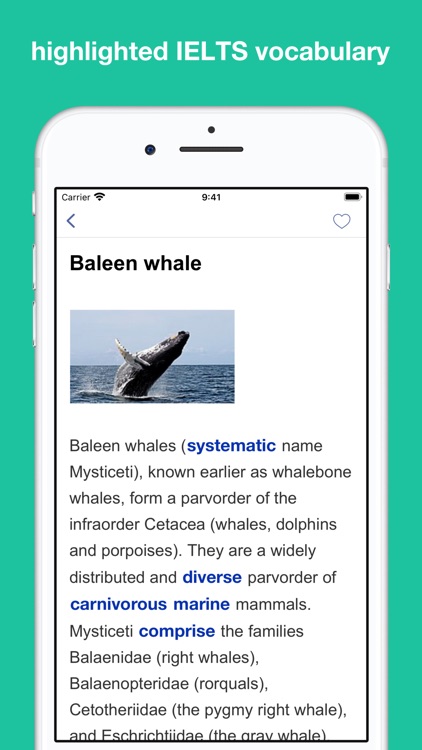 Vocabulary for IELTS test