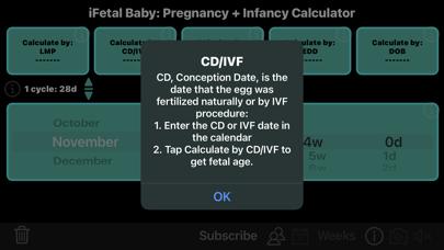 iFetal Baby Screenshot