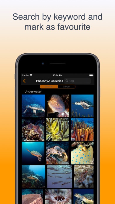 PhoTonyZ - photo downloads Screenshot