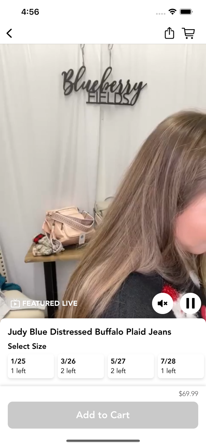 Blueberry Fields Boutique