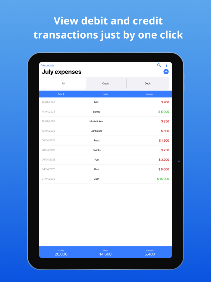 Account and Expense Manager