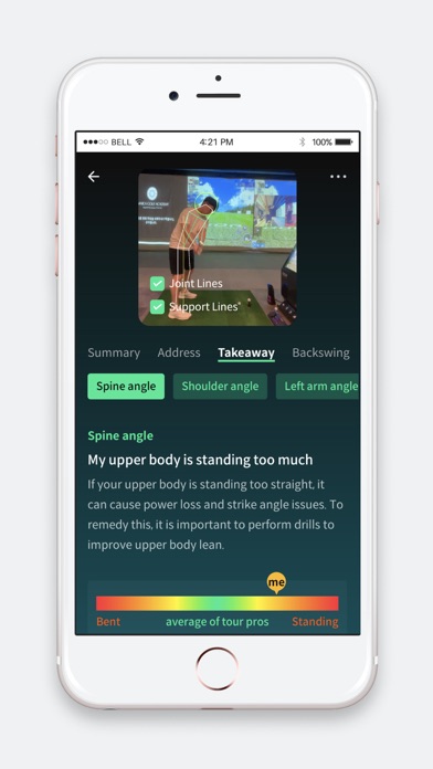 BirdiePT Screenshot