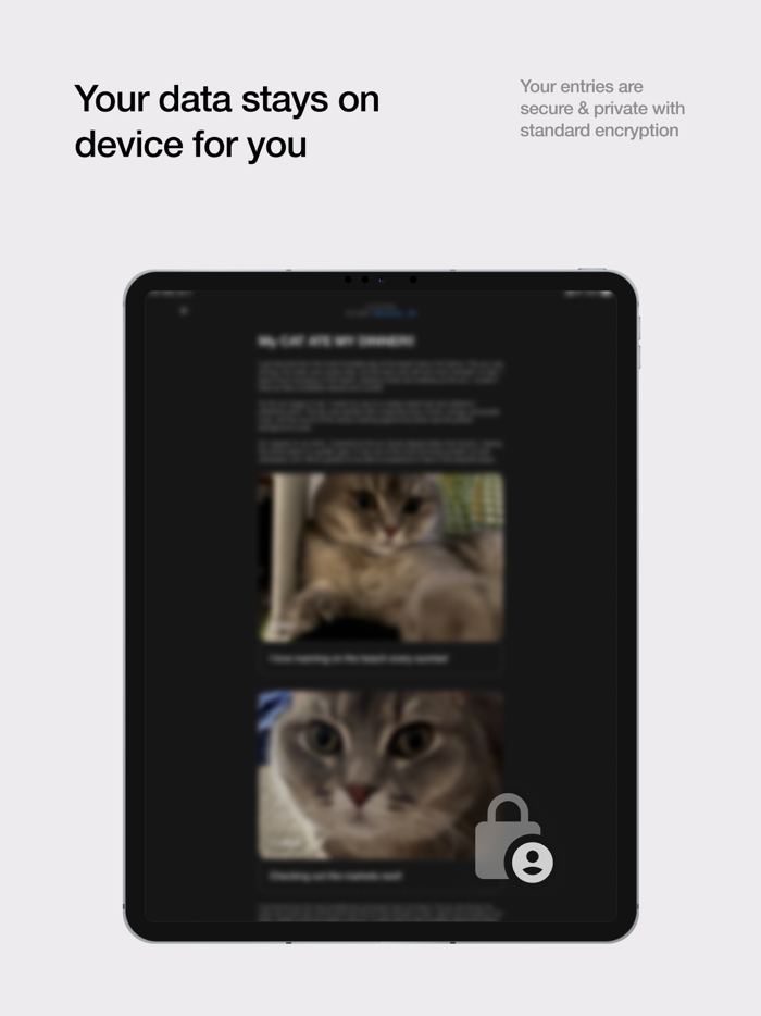 ABY - A Better You Journal