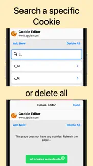 How to cancel & delete cookie editor for safari 4