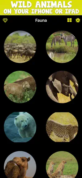 Game screenshot Fauna TV mod apk