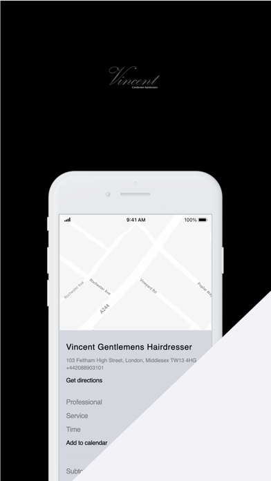 Vincent 103 Screenshot