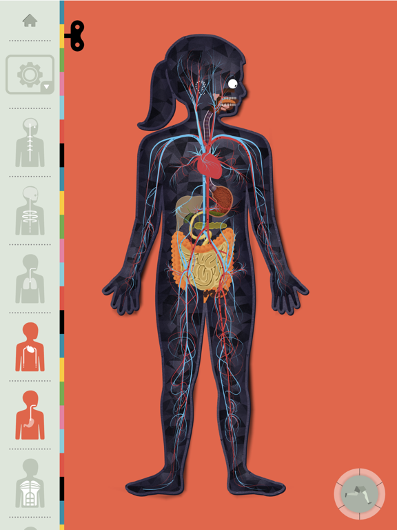 Screenshot #2 for The Human Body by Tinybop