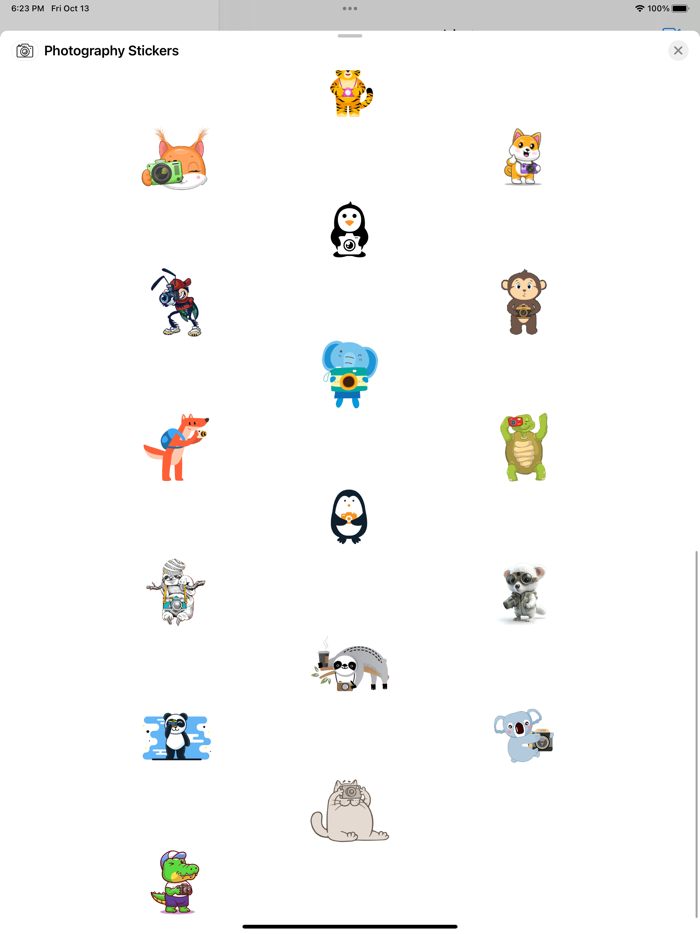 Photography Stickers