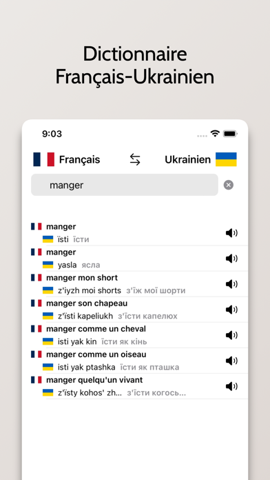 Dictionnaire Ukrainien Screenshot