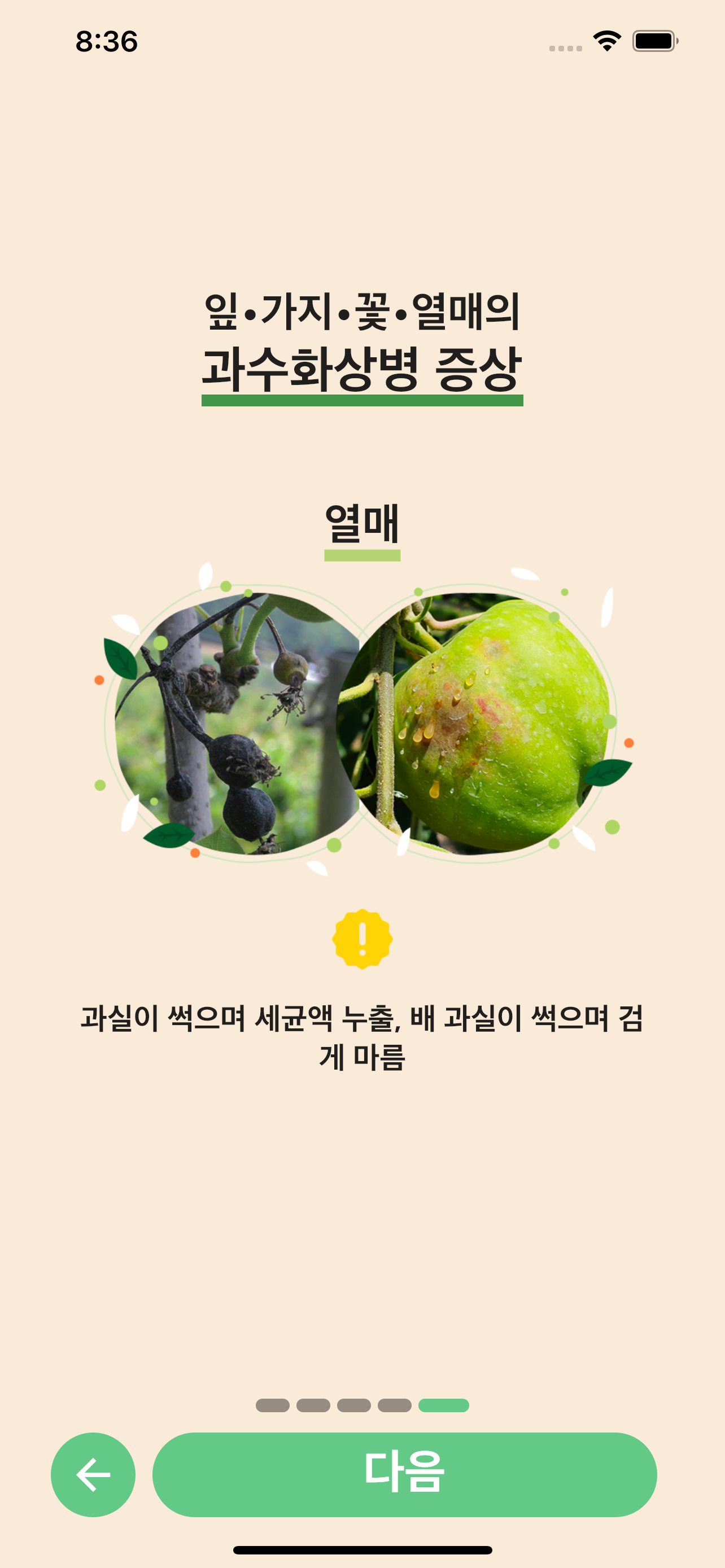 과수 화상병 전문가 상담