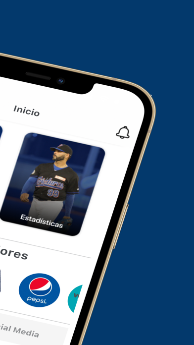 Liga Doble A Screenshot