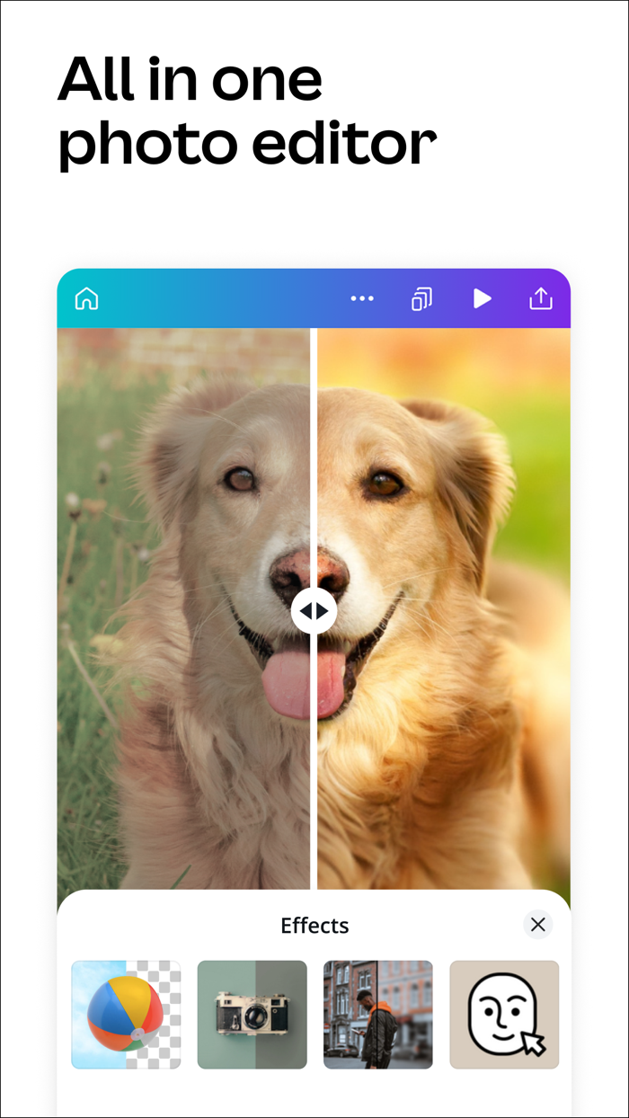Canva Design Photo and Video