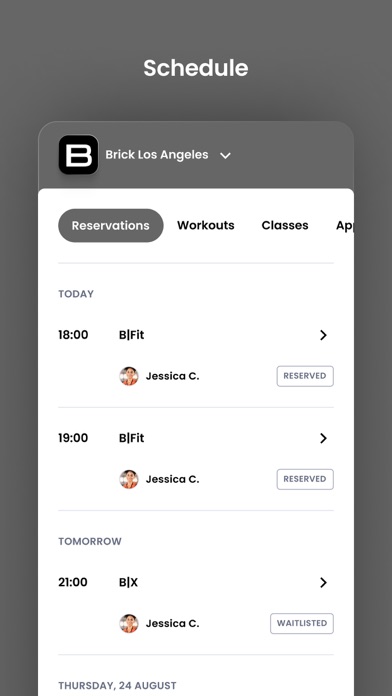 Brick Los Angeles Screenshot