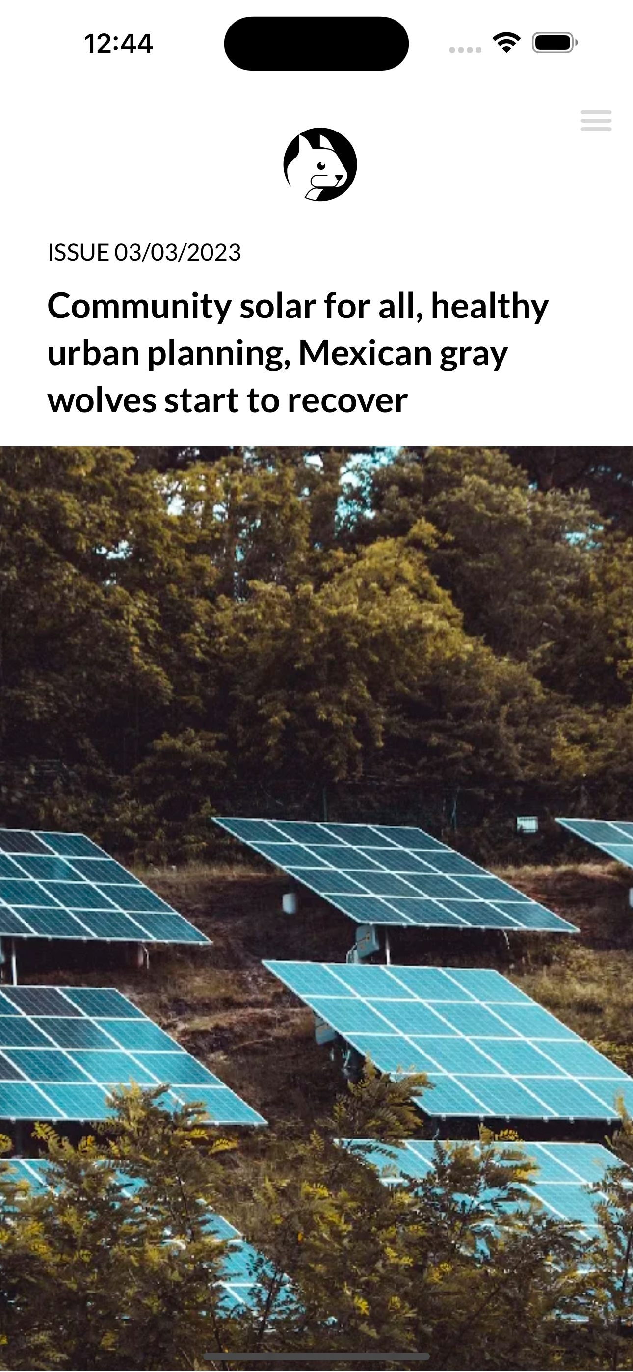 Squirrel News