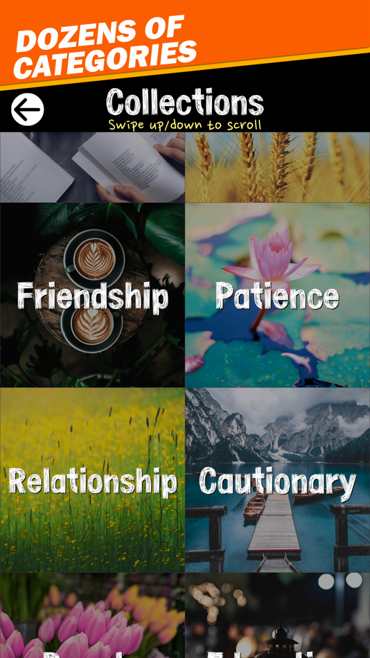 #6. Proverbs & Phrases Collection (iOS) 由: F Permadi