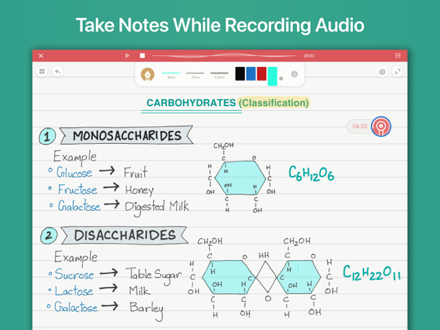 Captură de ecran Wink Notes